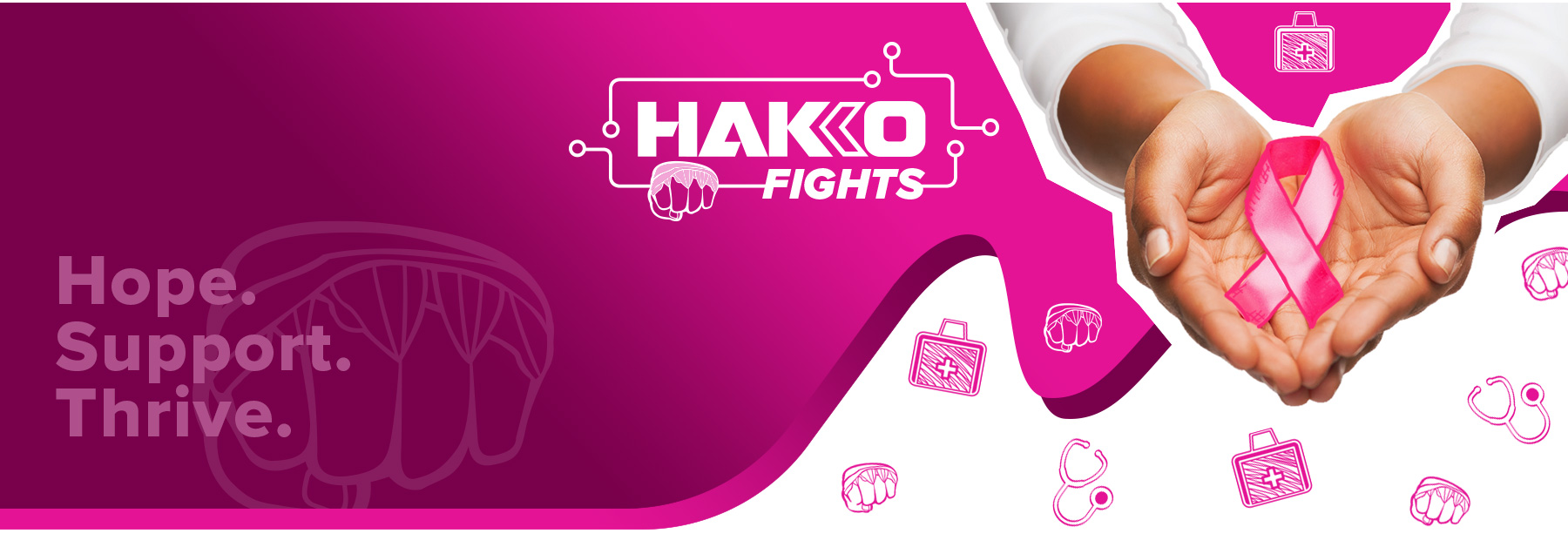 HAKKO-FIGHTS_Landing-PG2_03